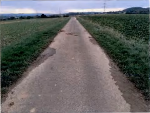 Zwangsversteigerung Landwirtschaft in Gründau, Lieblos – Asphaltierte Zufahrt zum Grundstück