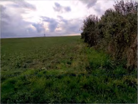 Zwangsversteigerung Landwirtschaft in Gründau, Lieblos – Ackerfläche mit Feldgehölz