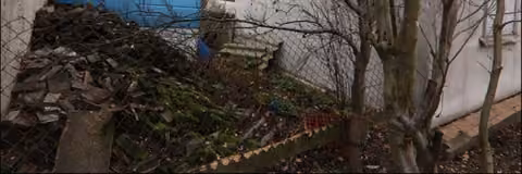 Zwangsversteigerung in Doberlug-Kirchhain – Westseite der Gartenlaube mit Fensterfront und zugewachsenem Zugang