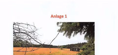 Zwangsversteigerung in Finsterwalde, Pechhütte – Ausblick aus dem Garten auf das rückwärtige verpachtete Grünland.