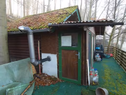 Zwangsversteigerung in Guxhagen, Büchenwerra – Nordansicht mit Eingangsbereich und Terrasse.