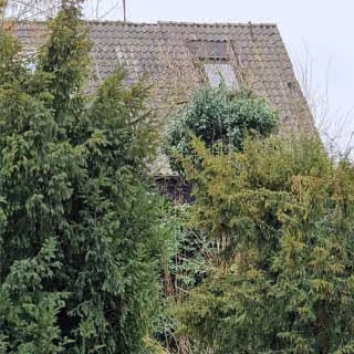 Zwangsversteigerung Doppelhaushälfte in Mülheim an der Ruhr, Altstadt I – Rückwärtige Gartenansicht mit starkem Bewuchs und Dachflächen.