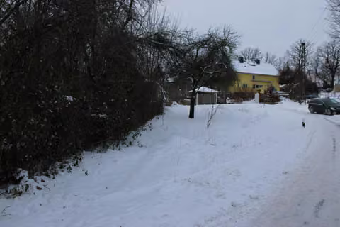 Zwangsversteigerung Landwirtschaft in Weißenberg, Belgern – Blick aus Richtung Norden auf das Grundstück und die Nachbarbebauung.