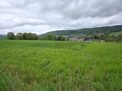 Zwangsversteigerung Landwirtschaft in Spangenberg, Pfieffe – Außenansicht der Flurstücke 88 und 89 In der Mose (Grünland).