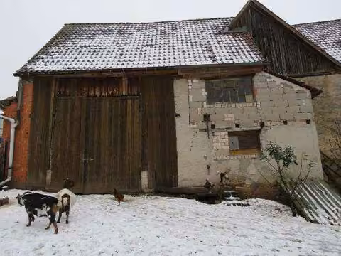 Zwangsversteigerung Einfamilienhaus in Geiselwind, Freihaslach – Scheunen- und Garagenkomplex Hofseite mit Sektionaltor von Westen.