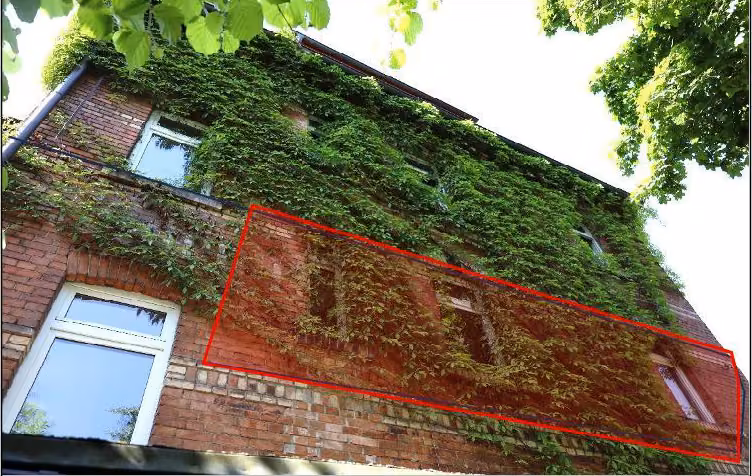 Zwangsversteigerung Eigentumswohnung in Jena, West – Nordostansicht der Fassade mit intensivem Efeubewuchs.