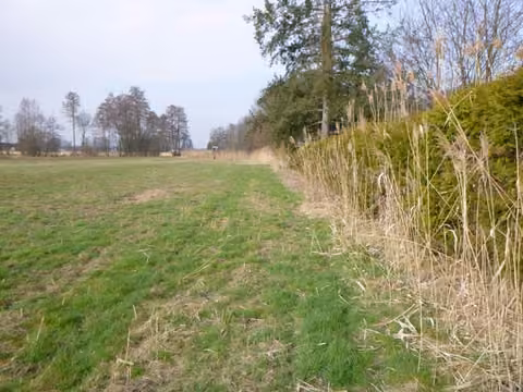 Zwangsversteigerung Landwirtschaft in Kirchdorf am Inn, Hitzenau – Blick über die Grundstücksgrenze von Osten nach Westen.