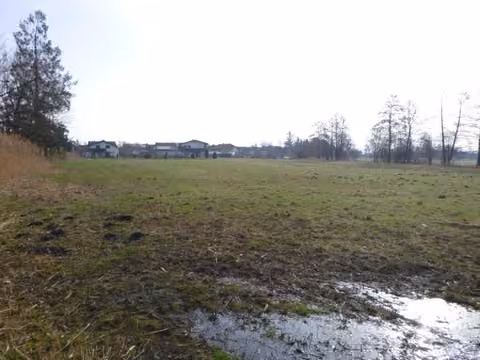 Zwangsversteigerung Landwirtschaft in Kirchdorf am Inn, Hitzenau – Dokumentierte Nässestelle auf dem Flurstück mit Blickrichtung Osten.