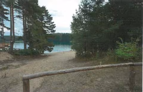 Zwangsversteigerung Grundstück in Rheinsberg, Kagar – Blick durch Baumbestand auf den Badestrand am Großen Zechliner See.