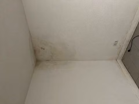 Zwangsversteigerung Eigentumswohnung in Mörfelden-Walldorf, Mörfelden – Dokumentation des Schimmelpilzbefalls an Wand- und Deckenbereichen im Innenraum.