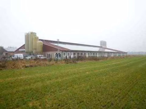 Zwangsversteigerung Einfamilienhaus in Geeste, Groß Hesepe – Front- und Seitenansicht des Schweinemaststalls Baujahr 2022 aus nordöstlicher Richtung
