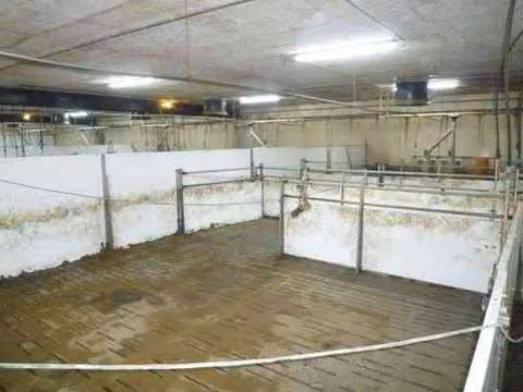 Zwangsversteigerung Einfamilienhaus in Geeste, Groß Hesepe – Innenansicht der Stallabteile im Schweinemaststall Baujahr 2022