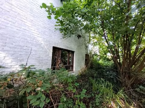 Zwangsversteigerung Einfamilienhaus in Aachen, Steinebrück – Außenansicht Nordostseite im bewachsenen Gartenbereich