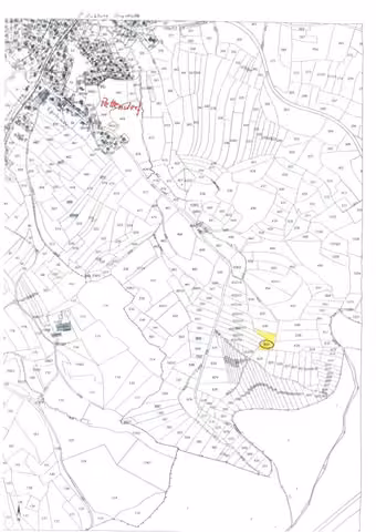 Zwangsversteigerung Landwirtschaft in Hummeltal, Pettendorf – Katasterkarte mit Kennzeichnung des Flurstücks 637 im Gewann Hut.