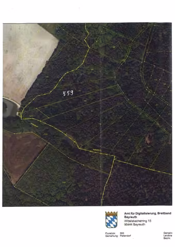 Zwangsversteigerung Landwirtschaft in Hummeltal, Pettendorf – Orthofoto mit Flurstücksgrenzen und Kennzeichnung von Flurstück 559.