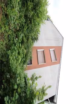 Zwangsversteigerung Einfamilienhaus in Finnentrop, Bamenohl – Seitenansicht des Wohnhauses hinter dichter Bepflanzung.