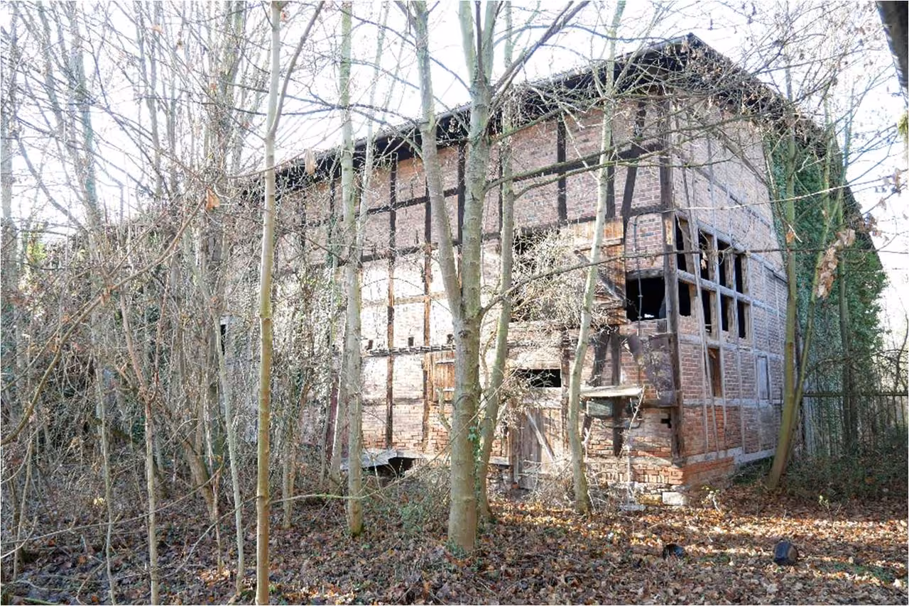 Zwangsversteigerung in Sömmerda, Schillingstedt – Ostansicht der Fachwerkscheune im zugewachsenen Grundstücksbereich.