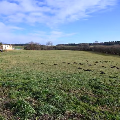 Zwangsversteigerung Landwirtschaft in Kirchenthumbach, Thurndorf – Blick von West nach Ost über das Flurstück 141.