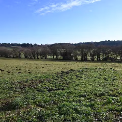 Zwangsversteigerung Landwirtschaft in Kirchenthumbach, Thurndorf – Blick über das Grundstück von Nord nach Süd.