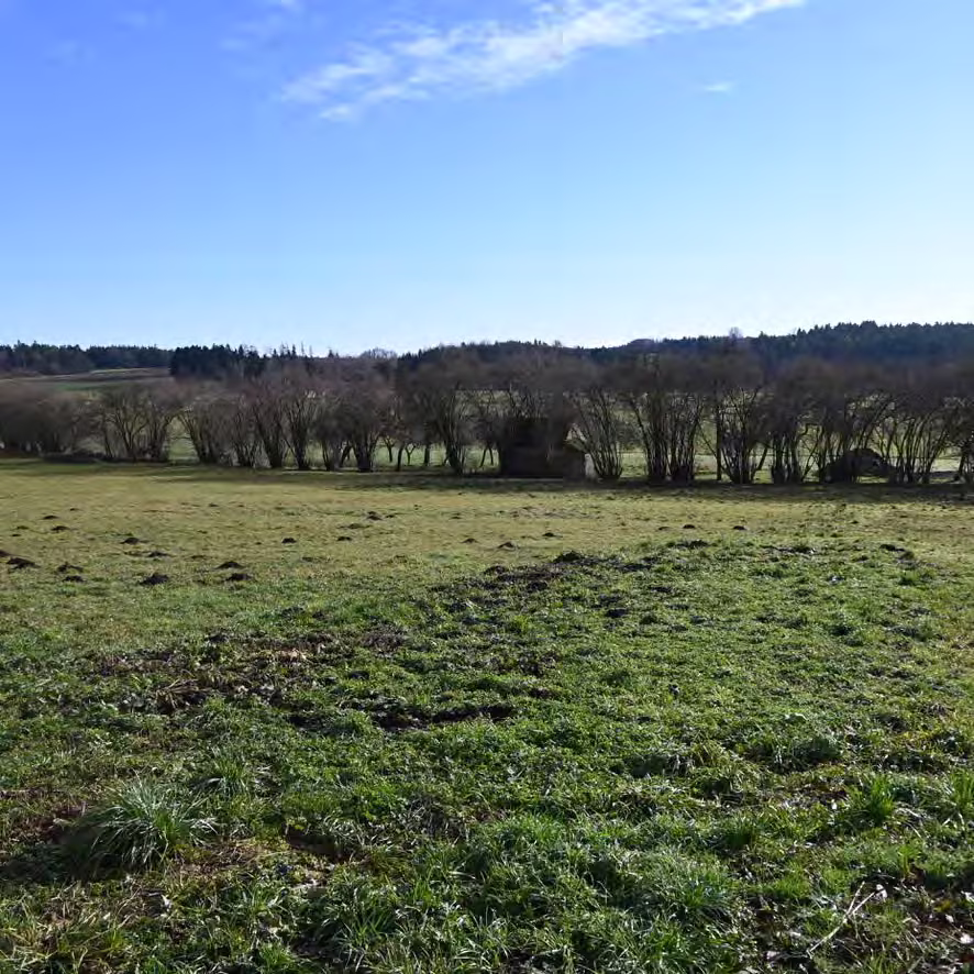 Zwangsversteigerung Landwirtschaft in Kirchenthumbach, Thurndorf – Blick über das Grundstück von Nord nach Süd.