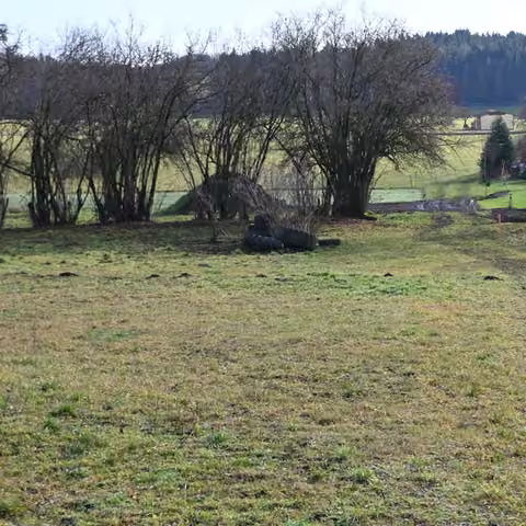 Zwangsversteigerung Landwirtschaft in Kirchenthumbach, Thurndorf – Südliche Zufahrt über den Grünweg.