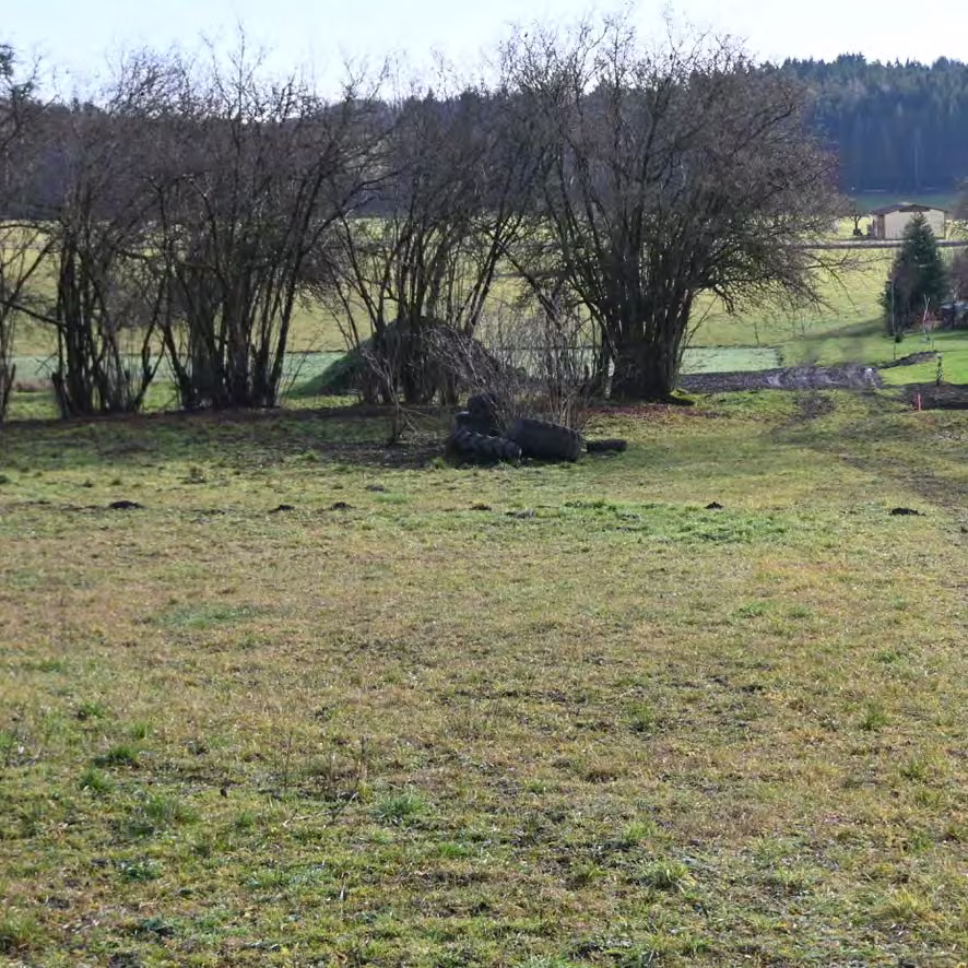 Zwangsversteigerung Landwirtschaft in Kirchenthumbach, Thurndorf – Südliche Zufahrt über den Grünweg.