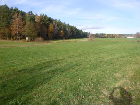 Zwangsversteigerung Landwirtschaft in Reichenbach, Kaltenbach – Überblick über die Grünlandfläche mit Blick von Süden nach Norden.