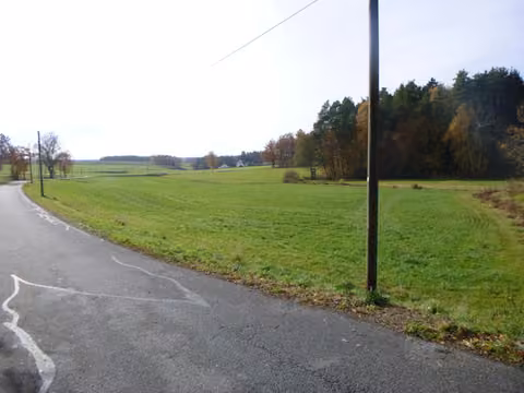 Zwangsversteigerung Landwirtschaft in Reichenbach, Kaltenbach – Blick von Nordosten nach Südwesten entlang der asphaltierten Ortsverbindungsstraße.