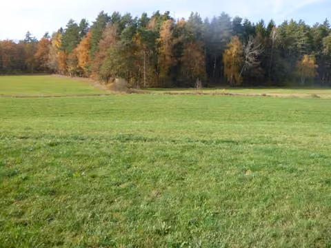 Zwangsversteigerung Landwirtschaft in Reichenbach, Kaltenbach – Blick von Osten nach Westen über die Wiesenfläche zum Waldrand.