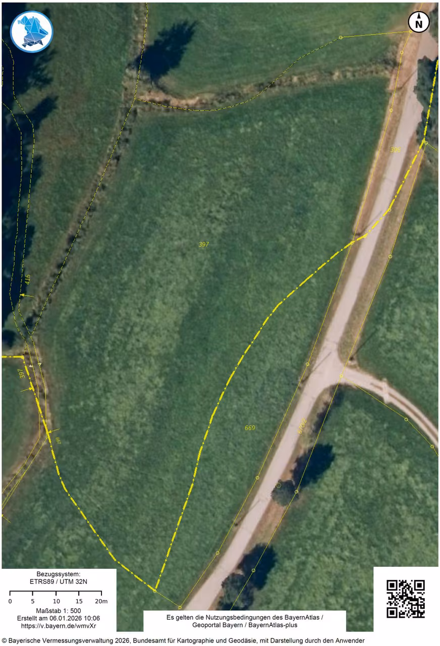 Zwangsversteigerung Landwirtschaft in Reichenbach, Kaltenbach – Luftbild mit Flurkarteneinblendung der Flurstücke 397 und 669.