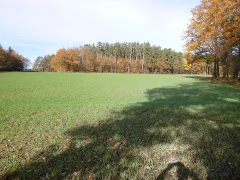 Zwangsversteigerung Landwirtschaft in Reichenbach, Jägerruit – Flurstück 627, Blick von Süden nach Norden.