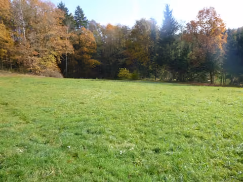 Zwangsversteigerung Landwirtschaft in Reichenbach, Jägerruit – Flurstück 628, Blick von Nordwest nach Südosten auf die Grünlandfläche.
