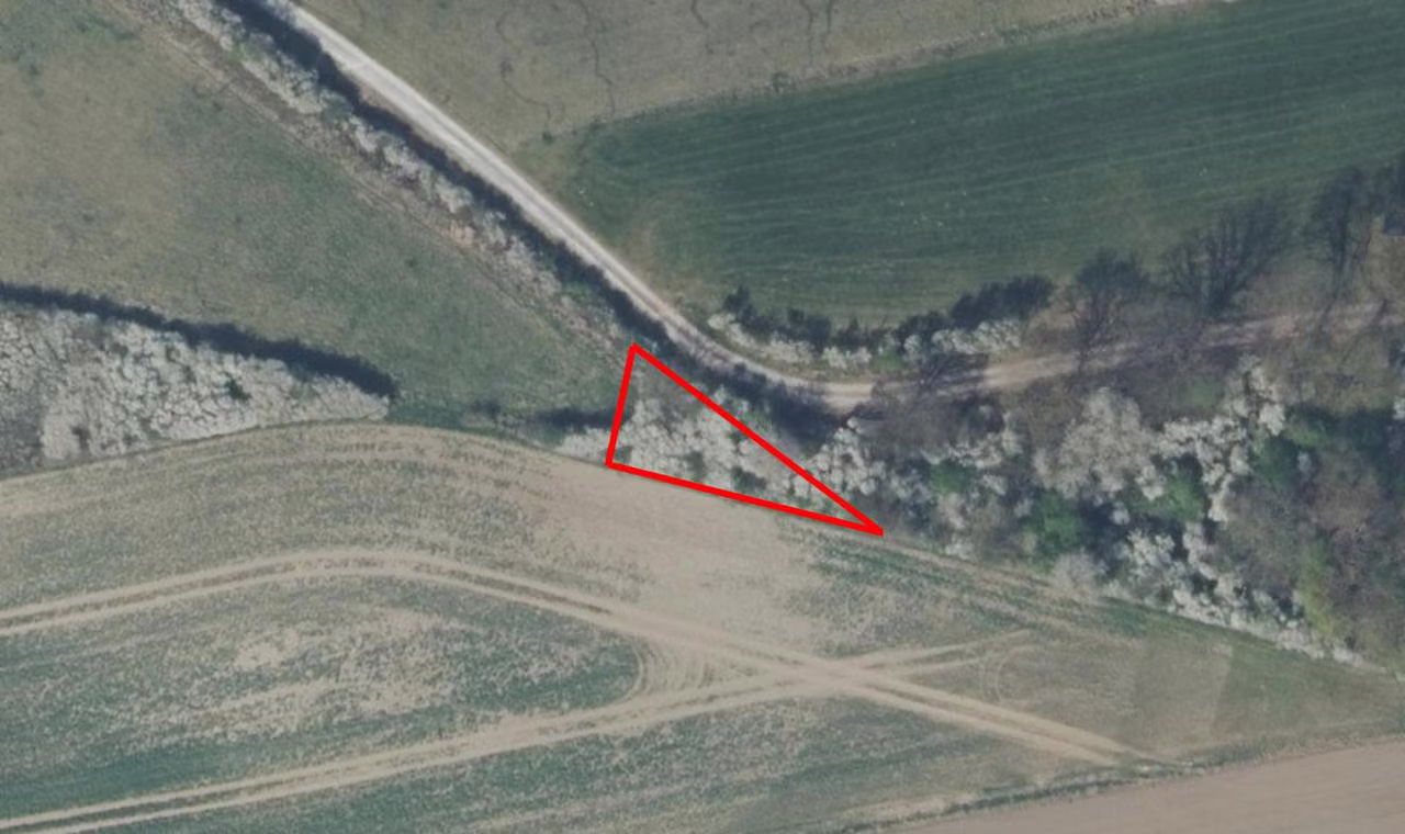 Zwangsversteigerung Landwirtschaft in Emmerthal, Frenke – Orthophoto mit Detailansicht des Gehölzbestandes und der Grenzziehung.