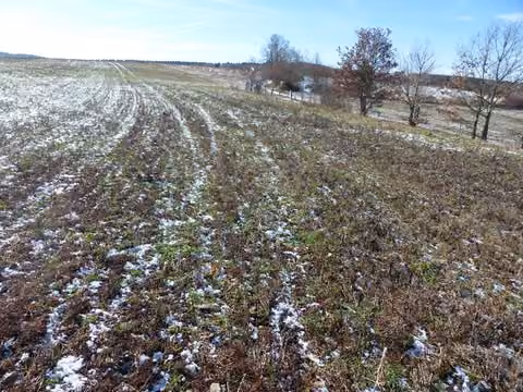 Zwangsversteigerung Grundstück in Lengenfeld – Nordansicht der landwirtschaftlichen Flurstücke 1070 und 1071 mit Ackernutzung.
