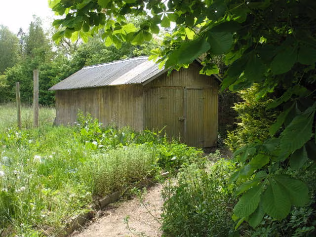 Zwangsversteigerung Mehrfamilienhaus in Schönwalde am Bungsberg – Ausschnitt aus der aktuellen Flurkarte mit Gebäudekennzeichnung und Flurstücken.