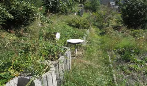 Zwangsversteigerung Einfamilienhaus in Neuhaus am Rennweg, Piesau – Gartenbereich und terrassierte Hangflächen des Grundstücks.