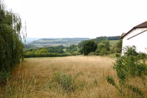 Zwangsversteigerung Einfamilienhaus in Bad Mergentheim, Löffelstelzen – Blick über das unbebaute Baugrundstück Flurstück 2199 in Hanglage.