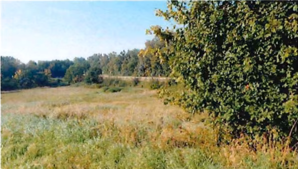 Zwangsversteigerung Landwirtschaft in Lauenburg – Blick auf die Vegetationsfläche des Bewertungsobjekts.