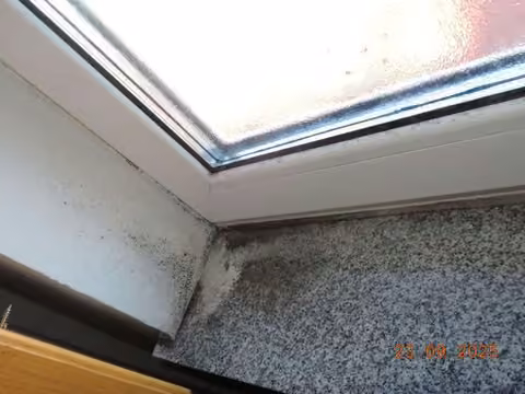 Zwangsversteigerung Mehrfamilienhaus in Ludwigshafen am Rhein, Oggersheim – Feuchtigkeitsschaden mit Schimmelbildung an Fensterlaibung im Dachgeschoss.
