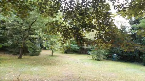 Zwangsversteigerung Einfamilienhaus in Falkensee, Falkenhain – Straßenansicht des Einfamilienhauses mit Vorgarten und Zufahrt.