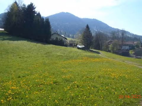 Zwangsversteigerung Landwirtschaft in Saulgrub, Wurmansau – Blick nach Norden auf das Flurstück 1156 vor Bergkulisse.