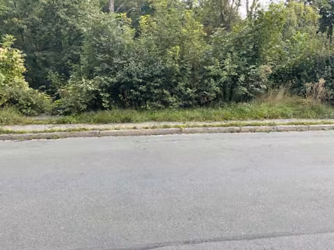 Zwangsversteigerung Grundstück in Jena, Jena-West – Straßenseitige Ansicht des eingewachsenen Grundstücks an der Lutherstraße.