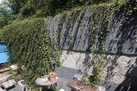 Zwangsversteigerung Einfamilienhaus in Etzelwang, Lehenhammer – Terrassenbereich im östlichen Grundstücksteil mit Bewuchs.