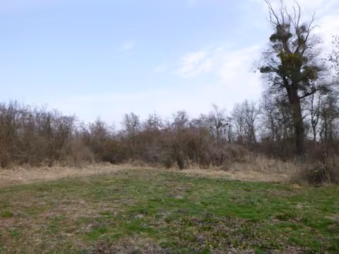 Zwangsversteigerung Landwirtschaft in Kirchdorf am Inn – Gehölz- und Waldteil des Bewertungsobjekts.