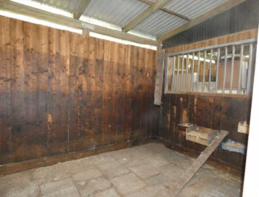 Zwangsversteigerung Grundstück in Sankt Michaelisdonn, Hindorf – Innenansicht der Pferdebox mit Holzverkleidung.