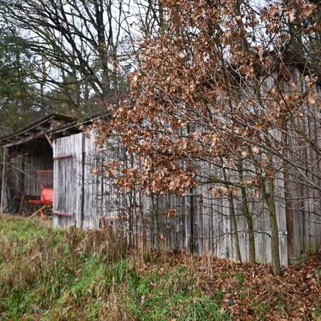Zwangsversteigerung Landwirtschaft in Wolframs-Eschenbach, Reutern – Schadhafte Holzverkleidung an der Außenfassade der Maschinenhalle