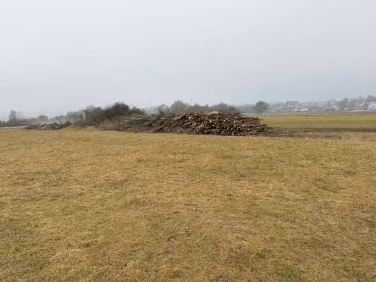 Zwangsversteigerung in Schernfeld – Blick über die bewerteten Grünlandflächen Richtung Nordwesten