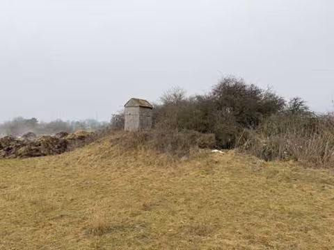 Zwangsversteigerung in Schernfeld – Ansicht von Fl.Nr. 505 und 506 mit Feldgehölz und Jägerkanzel