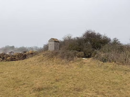 Zwangsversteigerung in Schernfeld – Ansicht von Fl.Nr. 505 und 506 mit Feldgehölz und Jägerkanzel