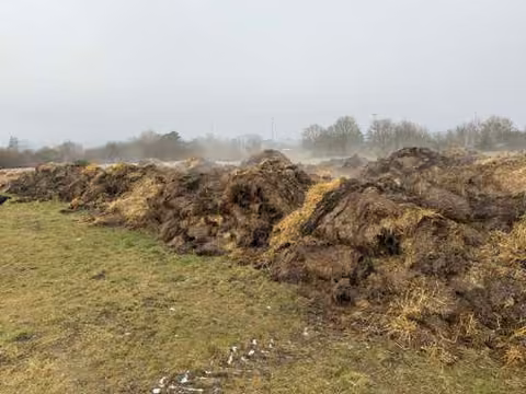 Zwangsversteigerung in Schernfeld – Detailaufnahme der Mistauflage auf Flurstück 506